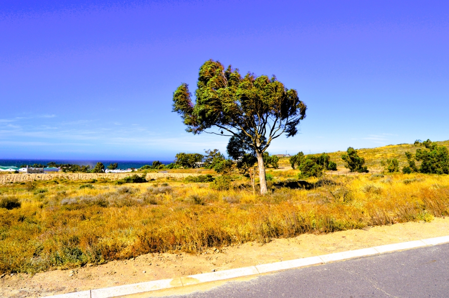 0 Bedroom Property for Sale in St Helena Views Western Cape